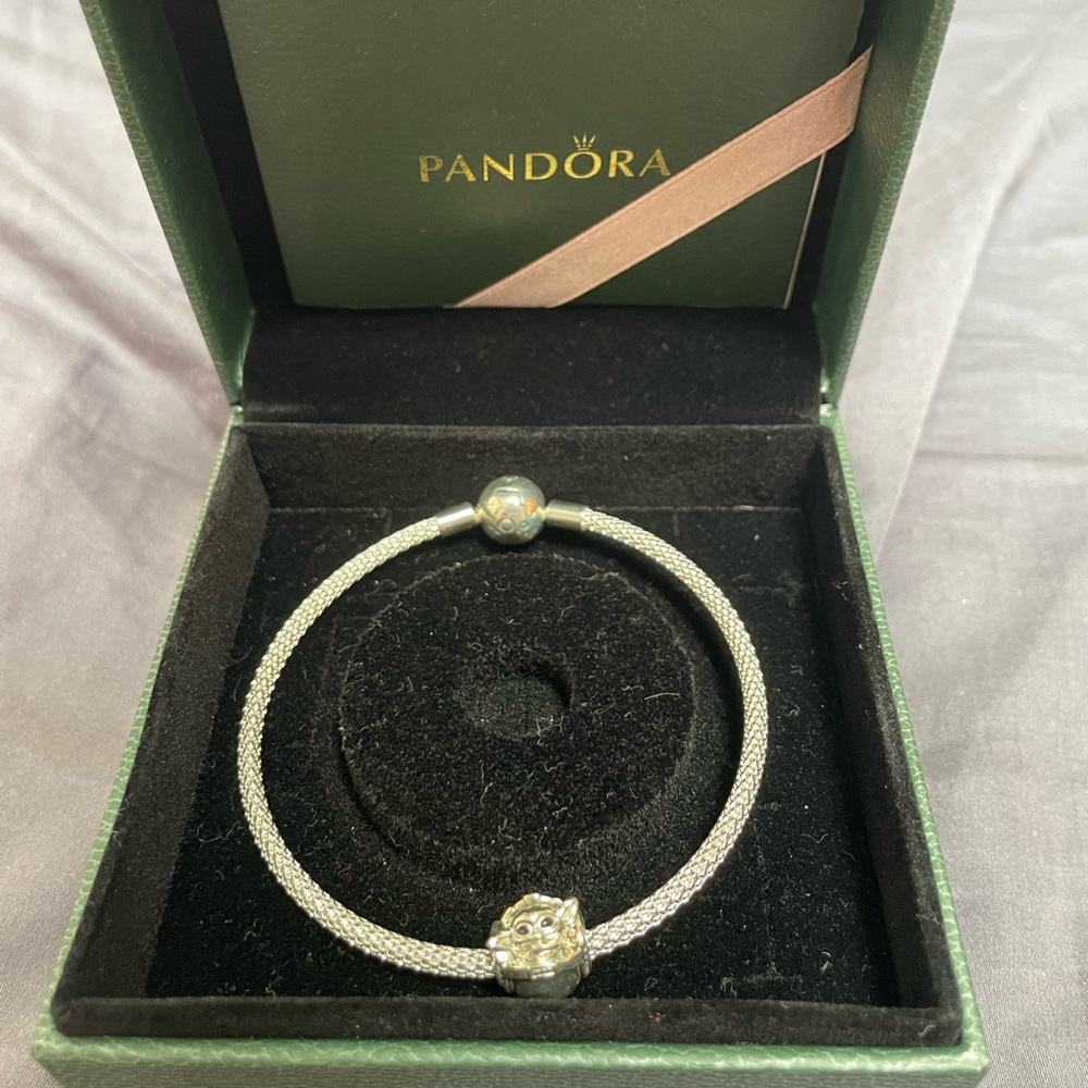 Pandora bracelet W/ baby yoda